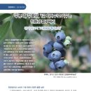 로뎀 농장 이미지