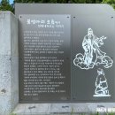 제주 람사르습지 물영아리오름 탐방 이미지