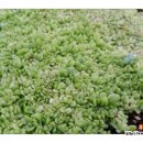 안호농장 이미지