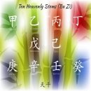 사주명리학(기초반) 이미지