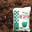 삼원몰