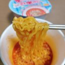 뽀끼뽀끼플러스
