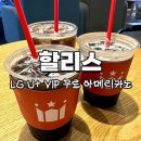 할리스커피 부산광안리점 | 부산 광안리 | 할리스커피, LG U+ 무료 아메리카노 후기