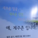 영진미트