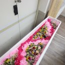 강산병원장례식장