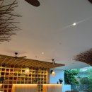 본스치킨이동점 | 나트랑 태교여행 보마 리조트, 보마리조트 배달 본스치킨