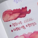 야생화 | [뒷북]컬러버스 텀블벅 펀딩 - 야생화 잉크 12종 시필 후기 (컬러버스와 이로시주쿠 닭의장풀 비교)