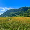 남양초등학교태하분교장 이미지