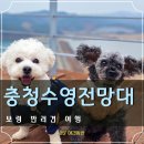 보령시모란공원 공중화장실 | 보령 애견동반 여행 강아지와 가볼만한곳 충청수영해안경관전망대