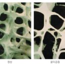 다니엘종합병원 이미지