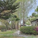 멍펜션2 이미지