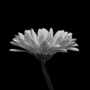 수영역 삼정그린코아 더시티 이미지