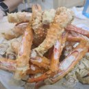 불꼼장어 이미지