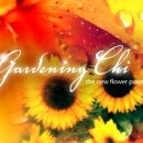 포토샵 기초(야간) 이미지