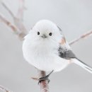 유투어 - 중구 학산로 24 | 유투어