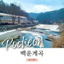 서울근교 애견동반 나들이 포천 백운계곡 혼자 드라이브