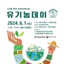 데이엔 이미지