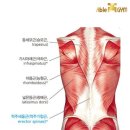 프레스밀 이미지