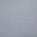 소근진성펜션 이미지