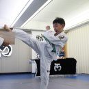 서래태권도 이미지