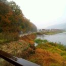 남한강 물길 따라 짙어가는 가을빛.. 충주 '비내길' 이미지