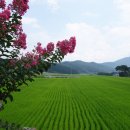 지리산오토캠핑장 이미지