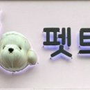 펫트리멍 이미지