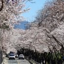 명화인문학 이미지