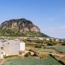 루시드엠 이미지