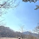 산림욕장 이미지