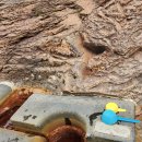 폭포약수 이미지