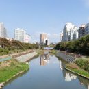 포레스트몰 이미지