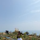 남면로 | 남해 명소 가볼 만한 곳 추천 “다랭이마을” 유채꽃 벚꽃 현 상황 후기 (+카페톨)