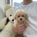 행복을 배우는 공간 이미지