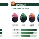 그린아이안경 네이버블로그