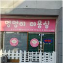 핑크애견 이미지