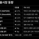 금융 재테크 이미지
