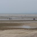 고창타조농장 이미지