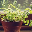 마리산 마트 이미지