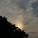 개차반캠핑장 이미지