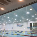 퍼스트 스윔 이미지