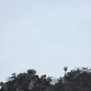 정가네 낙지마당 | 관악산 등산 사당 출발 서울대 하산 코스 후기 &amp;서울대 정가네 낙지마당