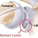 G.C.M 스포츠 이미지