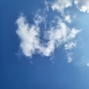 쉐반스머리염색 네이버블로그
