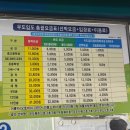 훈마루 | 성산항 우도 배시간 배편 예약 방법 + 차량승선 가격정보 후기