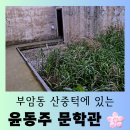 세븐일레븐 종로청운점 | [서울 여행] 부암동 산책길 "윤동주 문학관", 시인의 언덕 의미 있는 관람 후기