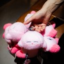 호돌이작은도서관 | 작은 행복을 바라는 여러분에게