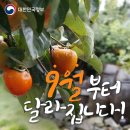 세븐일레븐 의정부평화로점 | 여름의 끝자락!