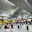 스타 태권도 이미지