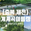 포레스트캐빈앤캠프 이미지